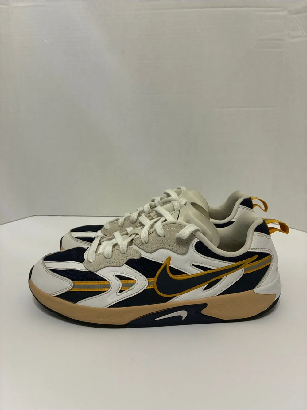 Women’s Nike skater sneakers